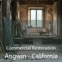 Commercial Restoration Angwin - California