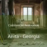 Commercial Restoration Anita - Georgia