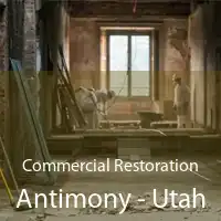 Commercial Restoration Antimony - Utah