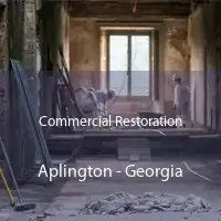 Commercial Restoration Aplington - Georgia