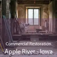 Commercial Restoration Apple River - Iowa
