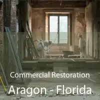 Commercial Restoration Aragon - Florida