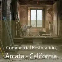Commercial Restoration Arcata - California