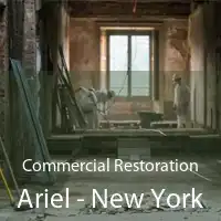 Commercial Restoration Ariel - New York