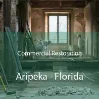 Commercial Restoration Aripeka - Florida