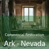 Commercial Restoration Ark - Nevada