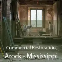 Commercial Restoration Arock - Mississippi