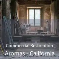 Commercial Restoration Aromas - California