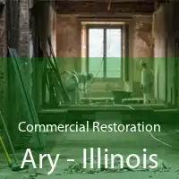 Commercial Restoration Ary - Illinois