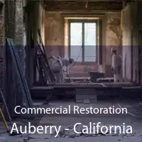 Commercial Restoration Auberry - California