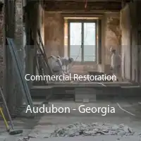 Commercial Restoration Audubon - Georgia