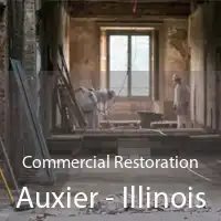Commercial Restoration Auxier - Illinois