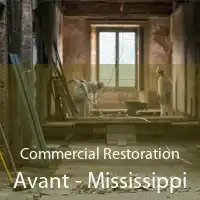 Commercial Restoration Avant - Mississippi