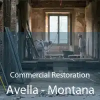 Commercial Restoration Avella - Montana