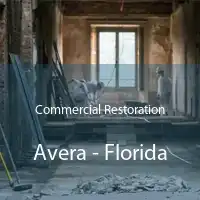 Commercial Restoration Avera - Florida