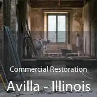 Commercial Restoration Avilla - Illinois
