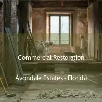 Commercial Restoration Avondale Estates - Florida