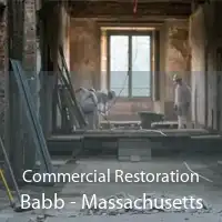 Commercial Restoration Babb - Massachusetts