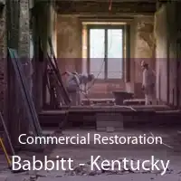 Commercial Restoration Babbitt - Kentucky