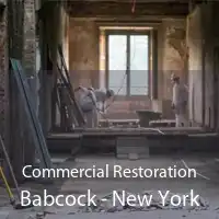 Commercial Restoration Babcock - New York
