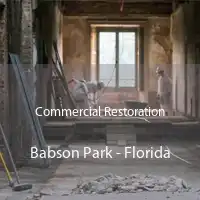 Commercial Restoration Babson Park - Florida