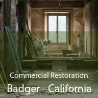 Commercial Restoration Badger - California