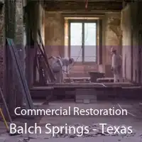 Commercial Restoration Balch Springs - Texas