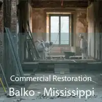 Commercial Restoration Balko - Mississippi