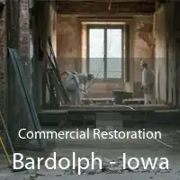 Commercial Restoration Bardolph - Iowa