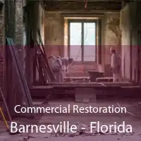 Commercial Restoration Barnesville - Florida