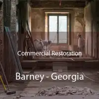 Commercial Restoration Barney - Georgia