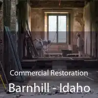 Commercial Restoration Barnhill - Idaho