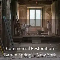 Commercial Restoration Barren Springs - New York