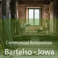 Commercial Restoration Bartelso - Iowa