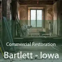 Commercial Restoration Bartlett - Iowa