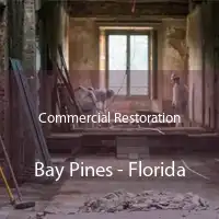 Commercial Restoration Bay Pines - Florida