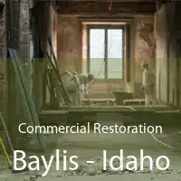 Commercial Restoration Baylis - Idaho