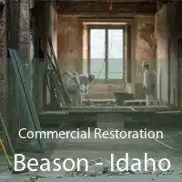 Commercial Restoration Beason - Idaho