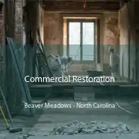 Commercial Restoration Beaver Meadows - North Carolina