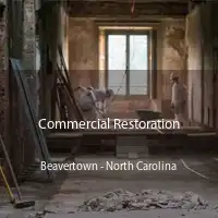 Commercial Restoration Beavertown - North Carolina