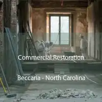 Commercial Restoration Beccaria - North Carolina