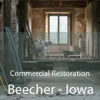 Commercial Restoration Beecher - Iowa