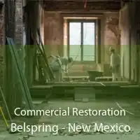 Commercial Restoration Belspring - New Mexico