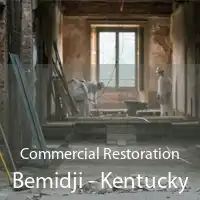 Commercial Restoration Bemidji - Kentucky
