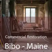 Commercial Restoration Bibo - Maine
