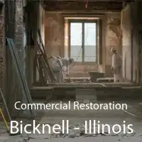 Commercial Restoration Bicknell - Illinois