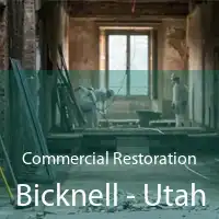 Commercial Restoration Bicknell - Utah