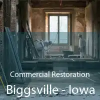 Commercial Restoration Biggsville - Iowa