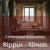 Commercial Restoration Bippus - Illinois