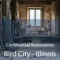 Commercial Restoration Bird City - Illinois